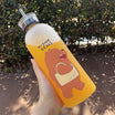 We Babe Bears Frosted Water Bottle – 1000ml
